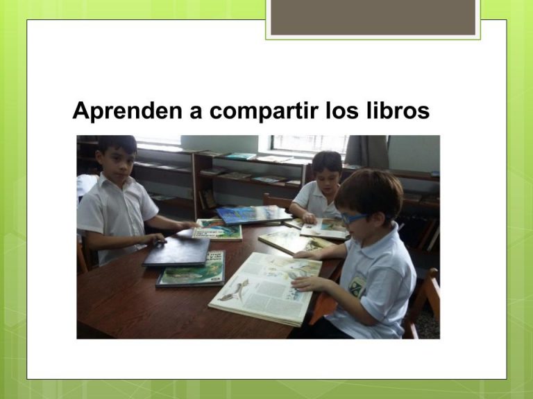 Biblioteca del Colegio Cristo Rey - 2017 (14)